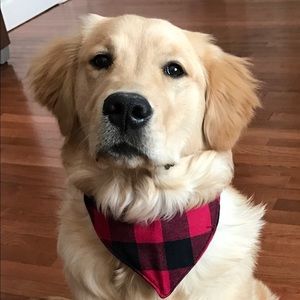 Meet your Posher, Mary ellen